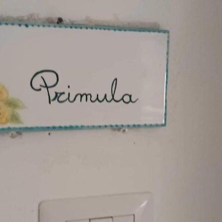 Il Glicine - Primula Apartment Paciano Ngoại thất bức ảnh