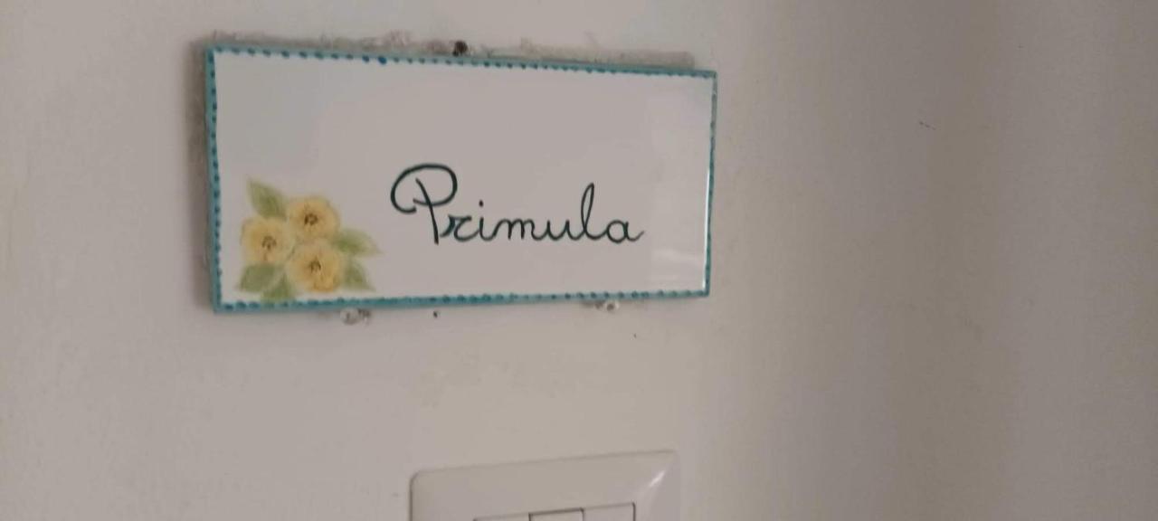 Il Glicine - Primula Apartment Paciano Ngoại thất bức ảnh